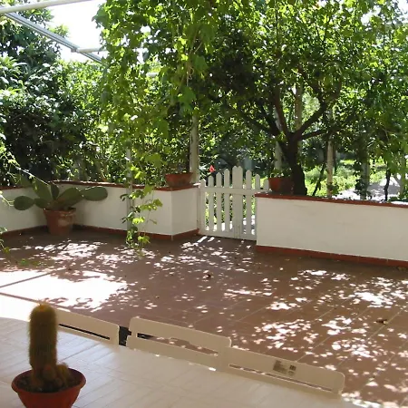 Patitari * Gallipoli